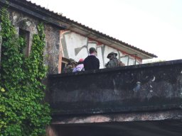 2024-10-27 MISSÃO ROSA